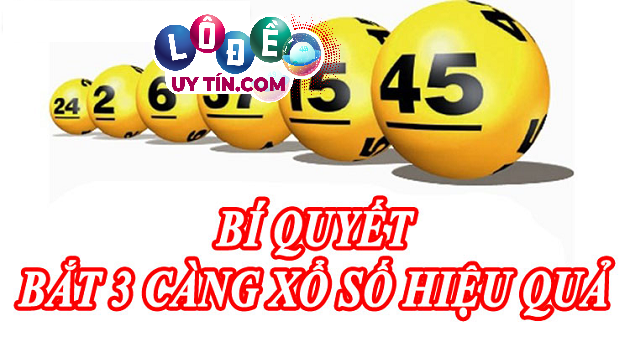 Cách soi cầu 3 càng vip chính xác giúp bạn đánh đâu trúng đó