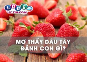 Hiện tượng nằm mơ thấy quả dâu tây đánh số gì? Ý nghĩa gì?