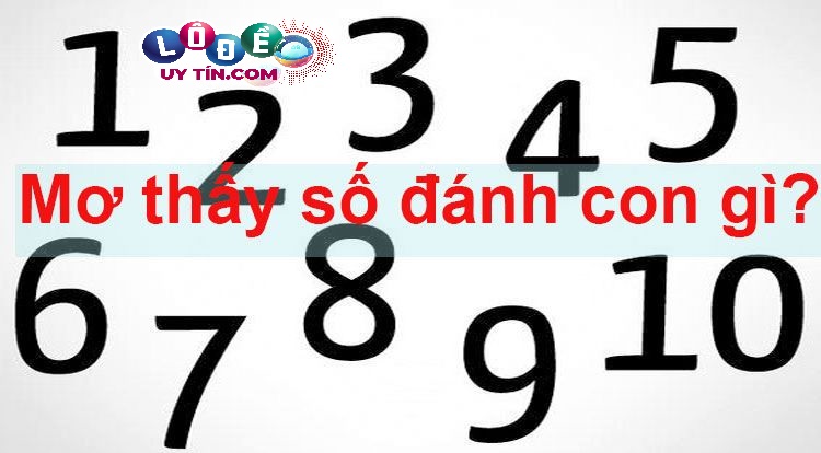 Mơ thấy nhiều con số đánh đề con gì? Giải mã bằng con số?
