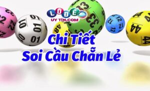 Tổng hợp phương pháp, kinh nghiệm nuôi lô đề chất lượng nhất