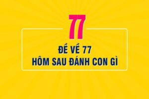 de-ve-77-hom-sau-danh-con-gi-1