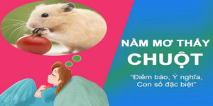 Mơ Chuột Bạch - Giải Mã Ý Nghĩa Giấc Mơ Và Những Con Số May Mắn