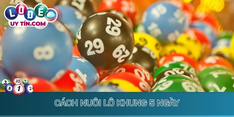 Nuôi Lô Khung 5 Ngày: Chiến Lược Bắt Lô Cực Dễ Ăn Thưởng Lớn 3 Cách nuôi lô khung 5 ngày
