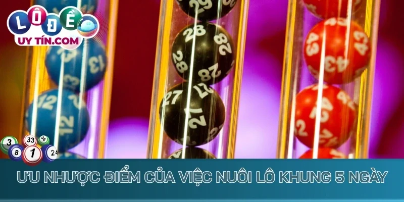 Nuôi Lô Khung 5 Ngày: Chiến Lược Bắt Lô Cực Dễ Ăn Thưởng Lớn 2 Ưu nhược điểm của việc nuôi lô khung 5 ngày